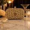 CLUTCH FESTA EXPLENDORE PEDRARIA - DOURADA