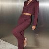 CONJUNTO TATI BLAZER E PANTALONA ALFAIATARIA WILDNESSE RISCA DE GIZ - MARSALA